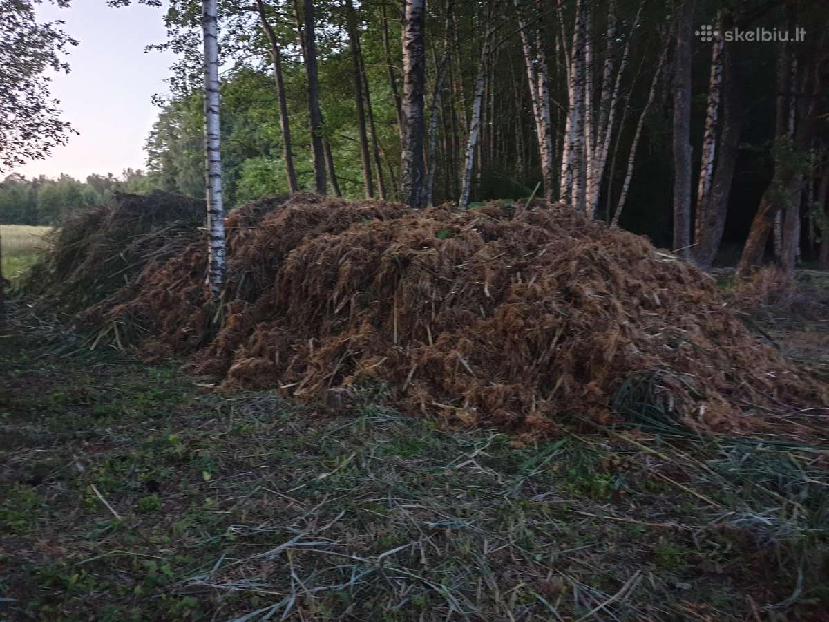Paplūdimių įrengimas,nendrių naikinimas Molėtų raj - nuotraukos Nr. 12