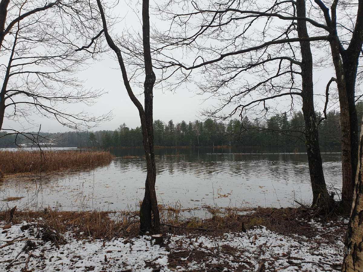 Paplūdimių įrengimas,nendrių naikinimas Molėtų raj - nuotraukos Nr. 14