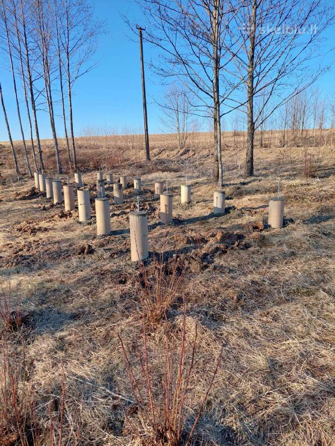 Grindų įrengimas, betonavimas, pamatai, Fibo - nuotraukos Nr. 4