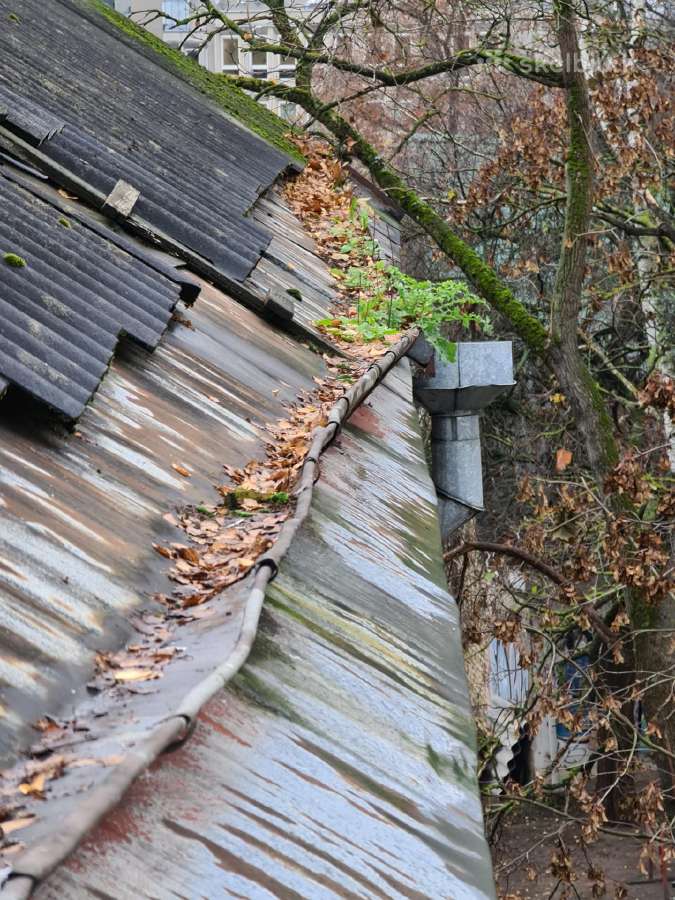 Lietvamzdžių, latakų ir stogų valymas - nuotraukos Nr. 18
