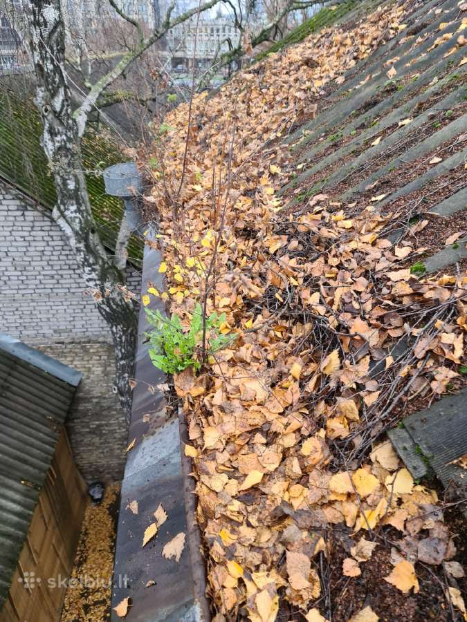Lietvamzdžių, latakų ir stogų valymas - nuotraukos Nr. 20