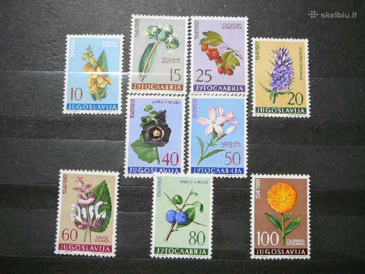 Geles Flora Jugoslavija 1961 Mnh js943
