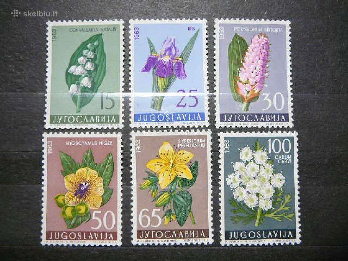Geles Flora Jugoslavija 1963 Mnh js1034
