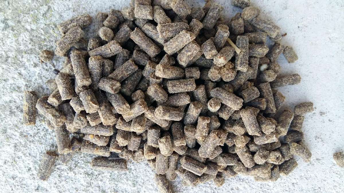Organinės azotingos granuliuotos trąšos
