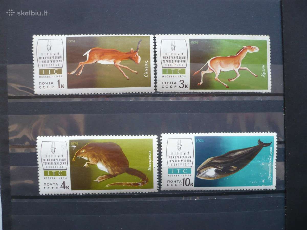 1974 m. I teriologijos kongresas Mhn