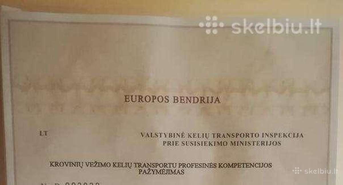 Transporto vadybininkė