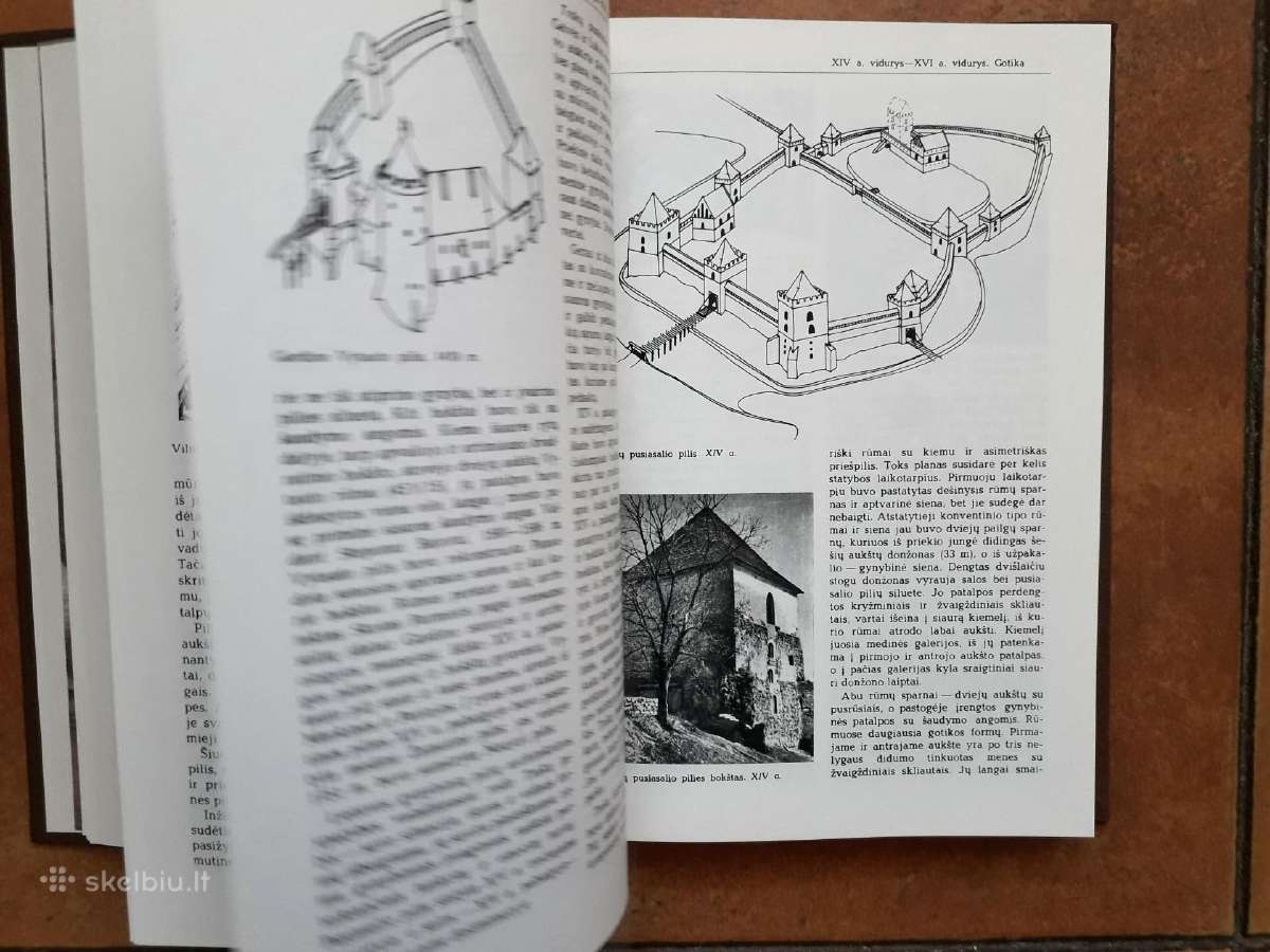Lietuvos Tsr dailės ir architektūros istorija - nuotraukos Nr. 6