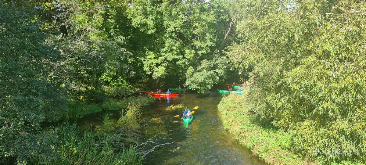 Sodyba "Jokšų kaims", Baidarių, Irklenčių nuoma - nuotraukos Nr. 2