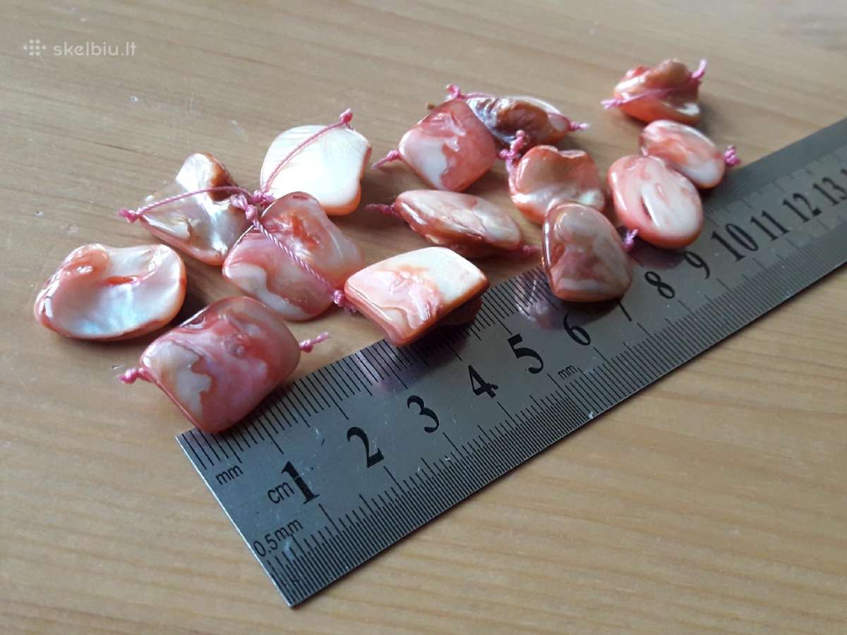 14 natūralaus perlamutro gabalėlių - nuotraukos Nr. 12