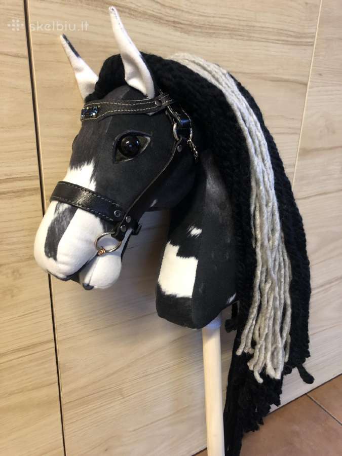 Hobby Horsing Arkliukai - nuotraukos Nr. 21