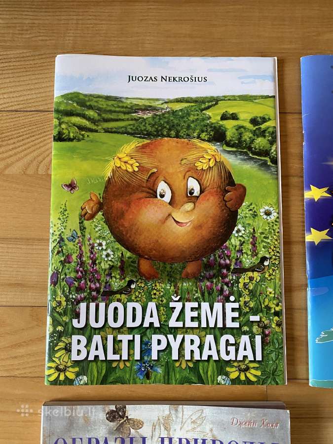 Naujos knygos mažomis kainomis nuo 1,5 eur - nuotraukos Nr. 2