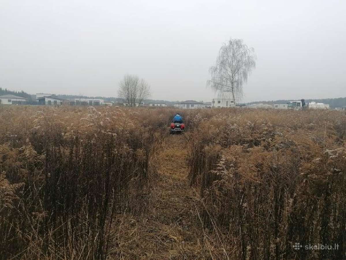 Vejos levelingas, Purškimas nuo piktžolių - nuotraukos Nr. 14