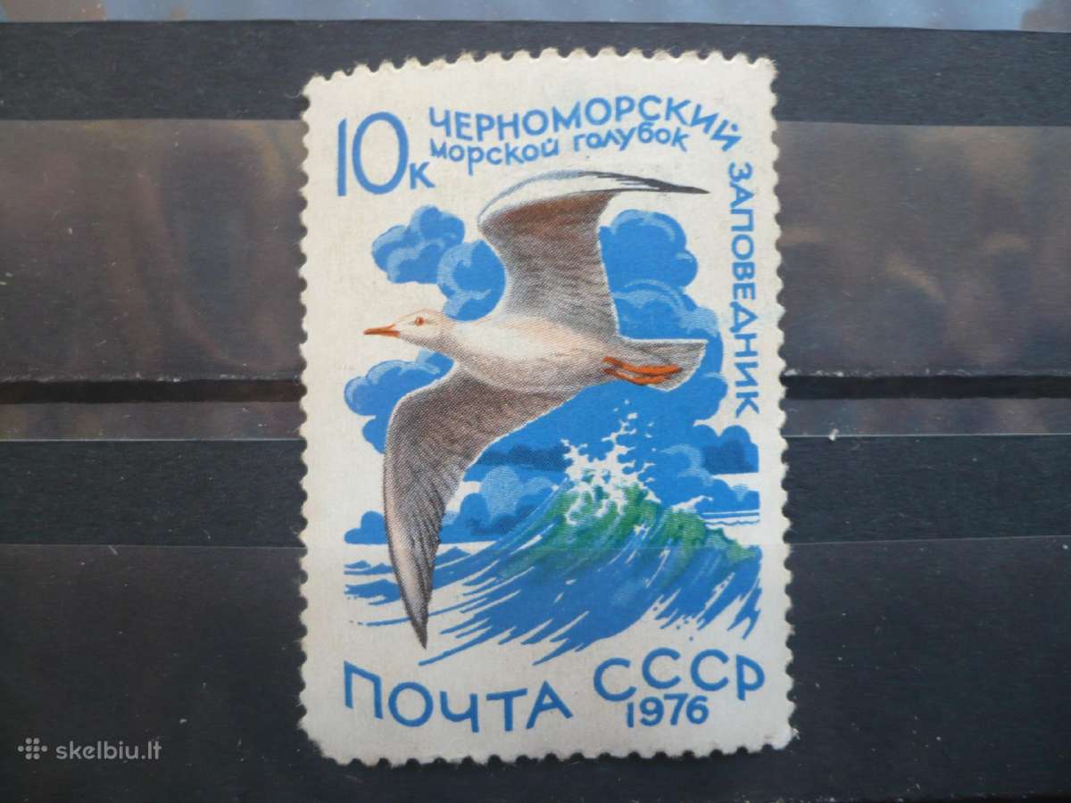 1976 m. Vandens paukščiai – Larus genei