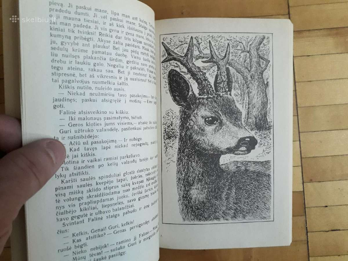 F. Zaltenas "Bembis. Bembio vaikai" - nuotraukos Nr. 6