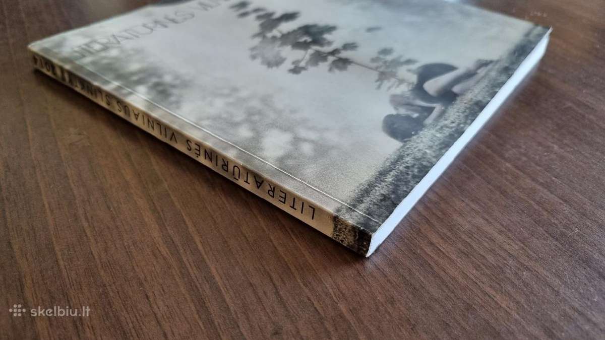 Literatūrinės Vilniaus slinktys 2014 - nuotraukos Nr. 2