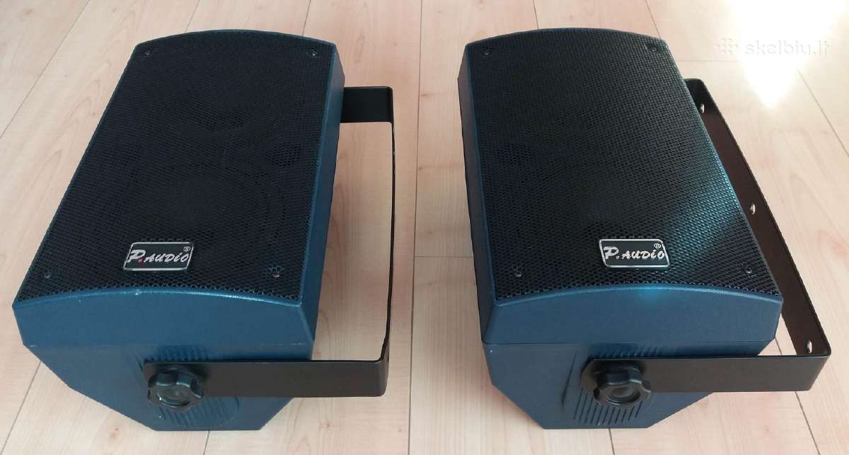 P Audio 100f kolonėlės, jokių priedų nėra - nuotraukos Nr. 4