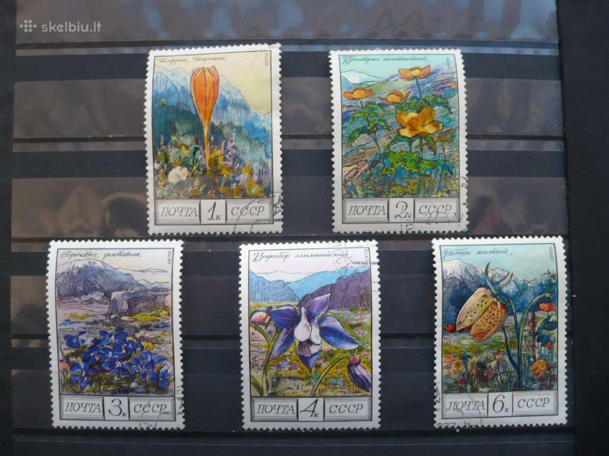 1976 m. Kaukazo gėlės