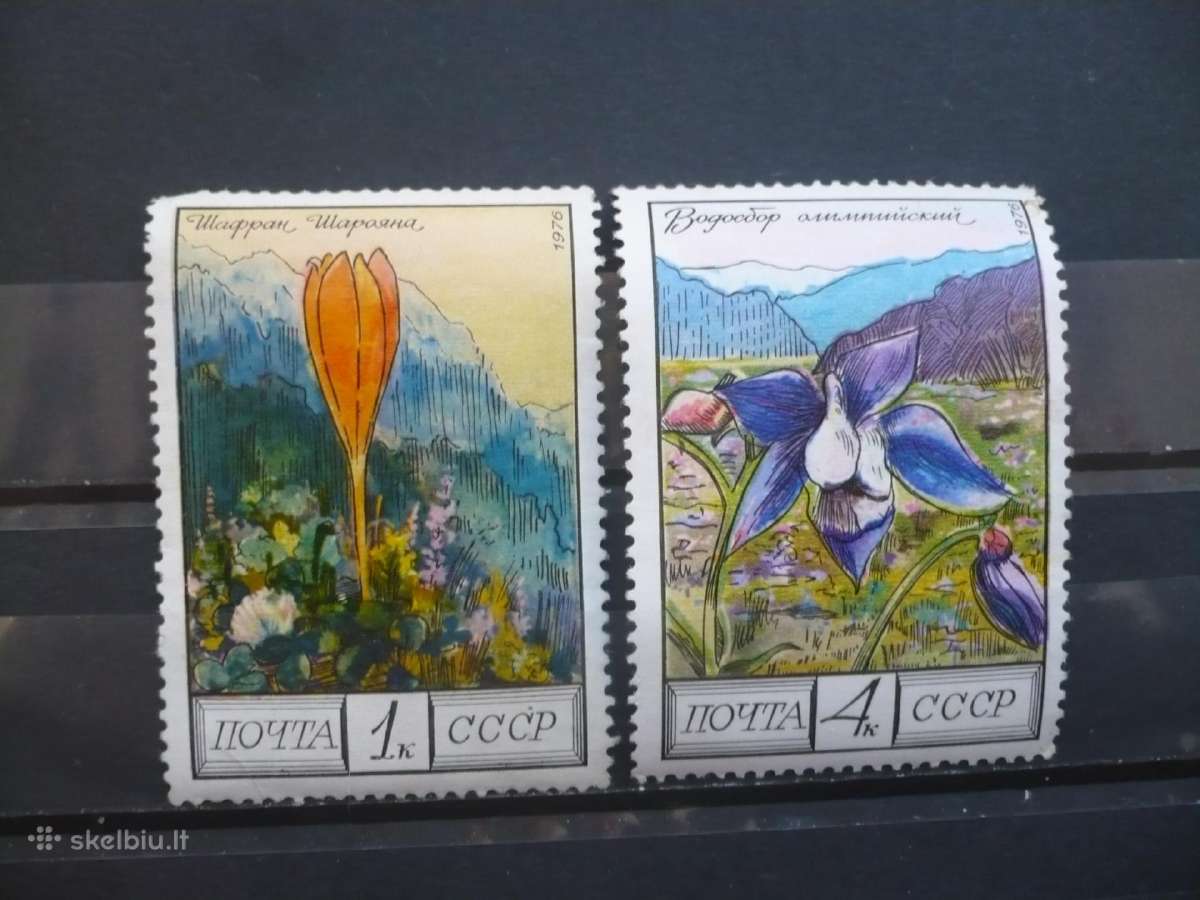 1976 m. Kaukazo gėlės Mhn