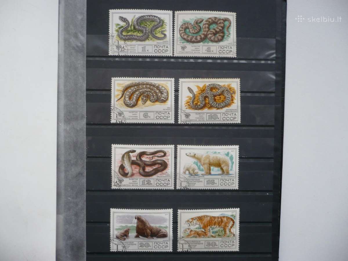 1977 Fauna