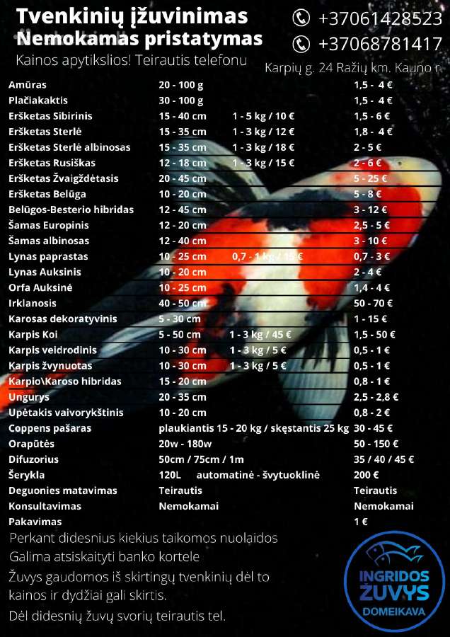 Tvenkinių Ižuvinimas.mailius.domeikava
