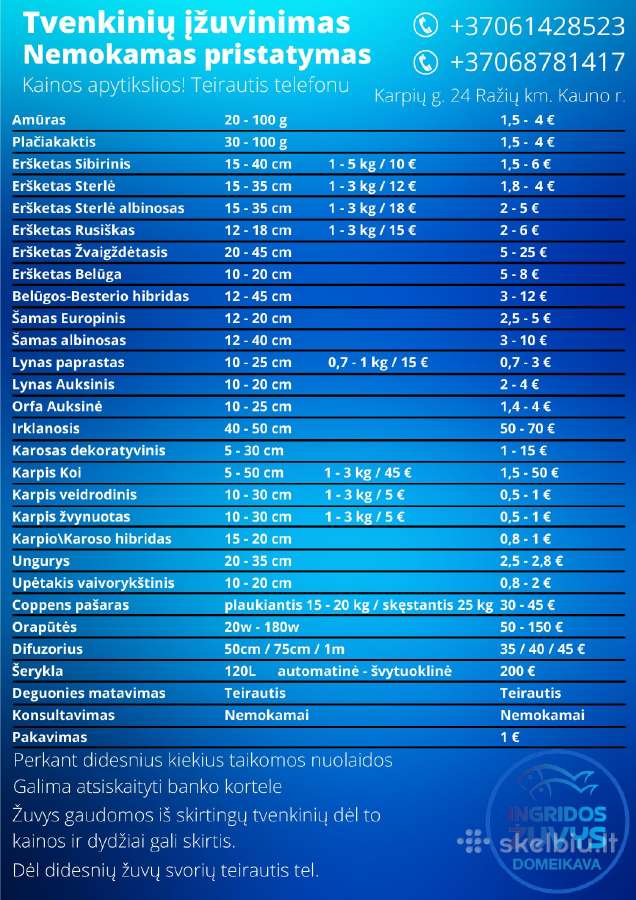 Mailius, Ižuvinimas. Pristatymas. - nuotraukos Nr. 14