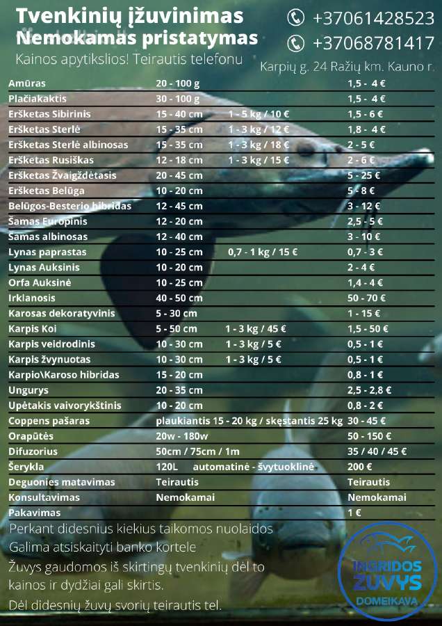 Marsrutai Pristatymas