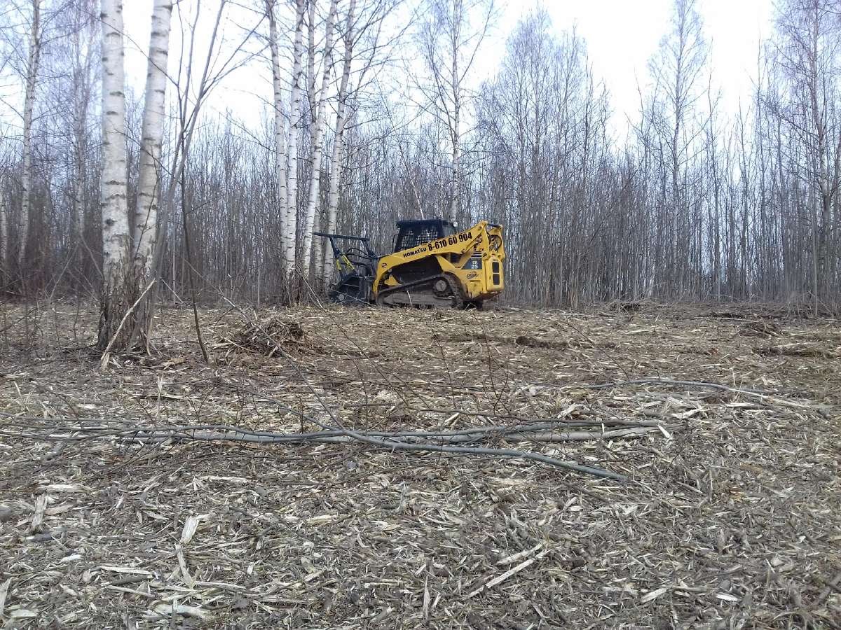 Vikšrinio Bobcat nuoma Apleistų sklypų tvarkymas - nuotraukos Nr. 9