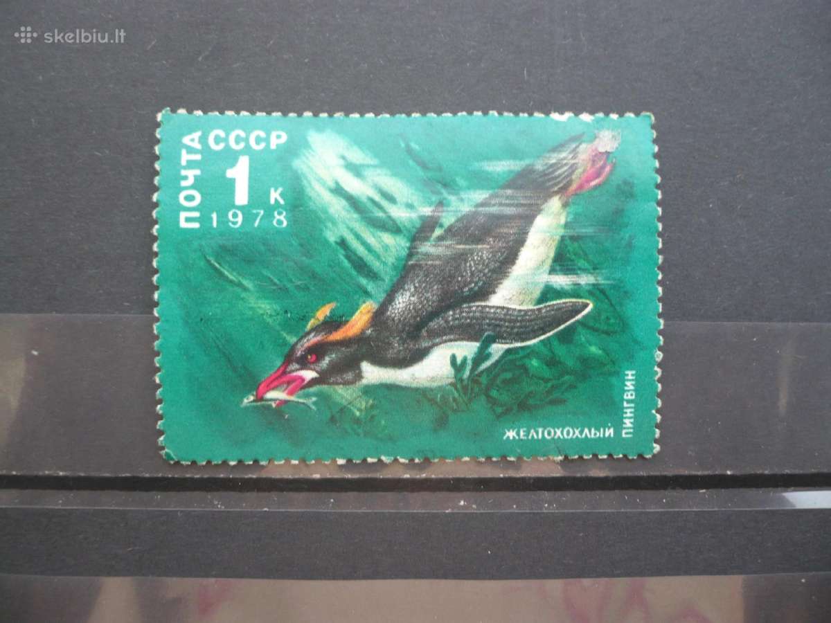 1978 Arkties fauna