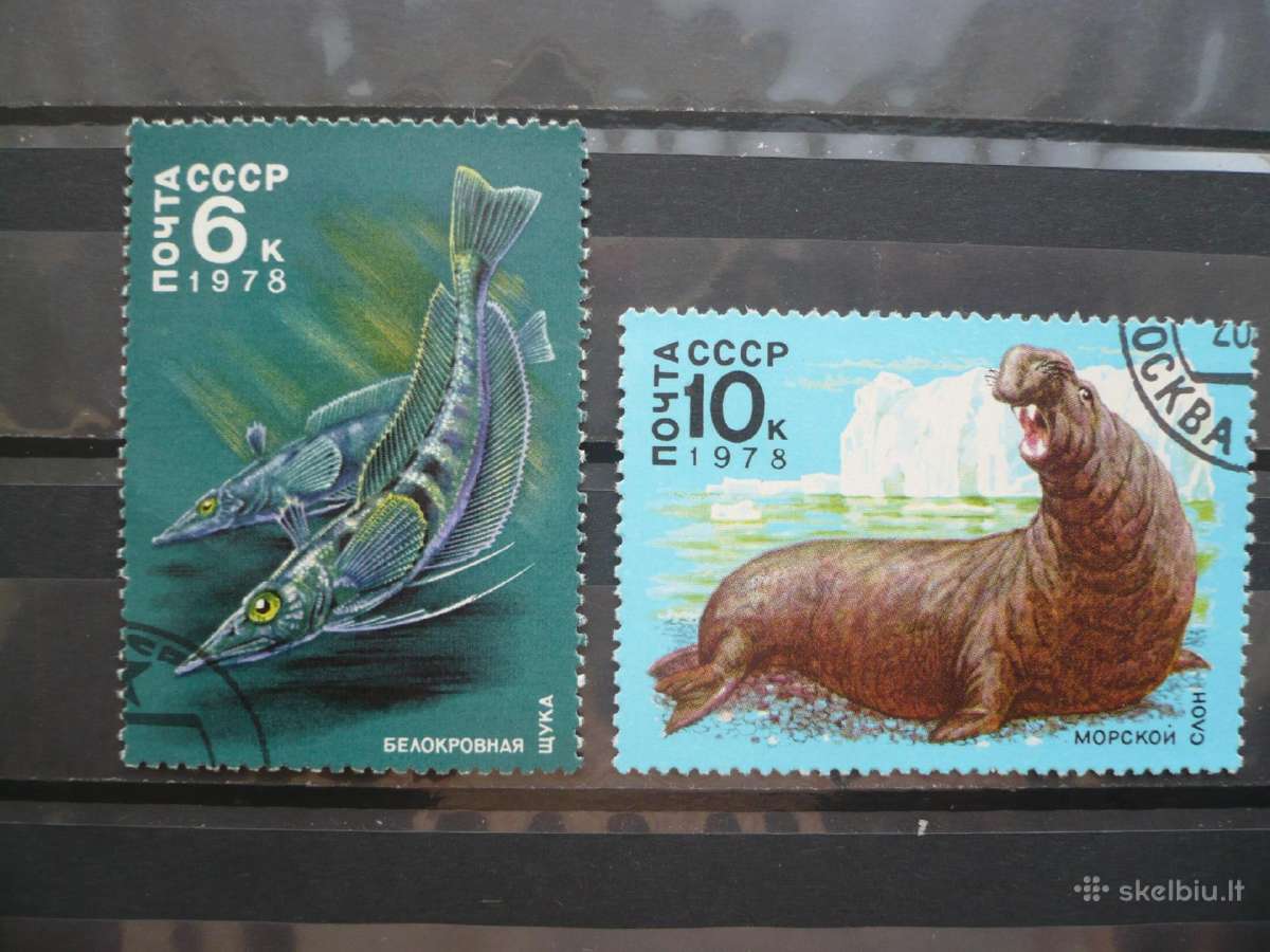 1978 Arkties fauna - nuotraukos Nr. 2