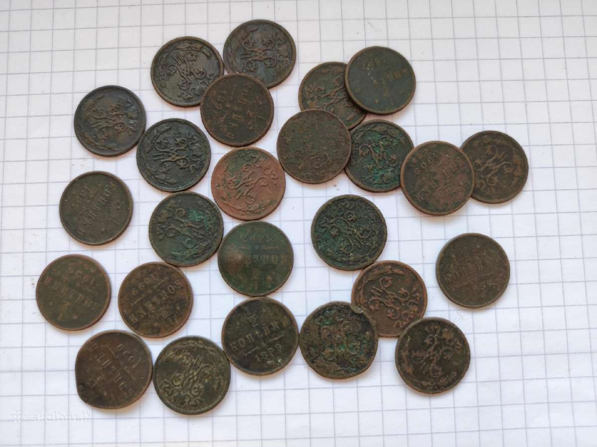 25vnt cariniu puse kapeiku