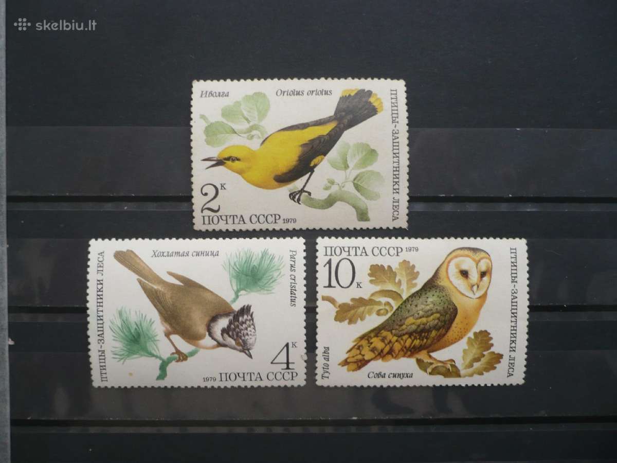 1979 Paukščiai Mhn