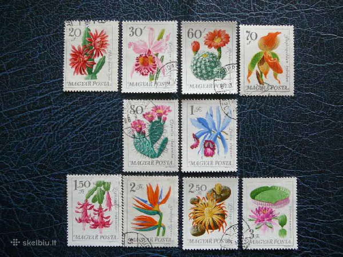 Kaktusai Geles Vengrija 1965 antsp. v2164a