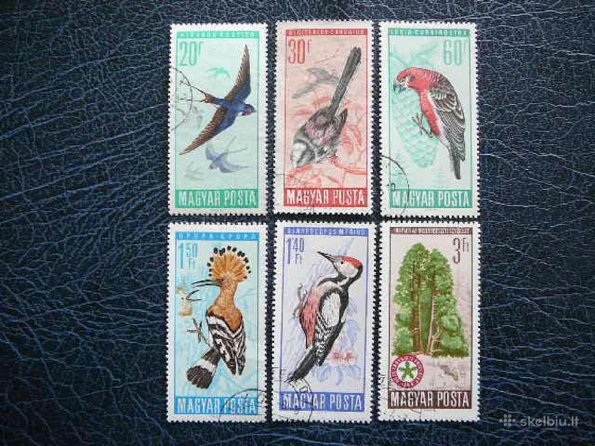 Pauksciai Vengrija 1966 antsp. v2231a