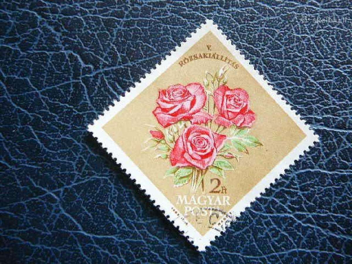 Geles Rozes Vengrija 1963 antsp. v1922a