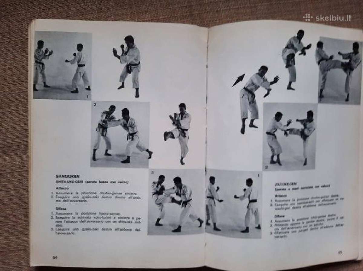 Shorinji Kempo (So Doshin) - nuotraukos Nr. 10