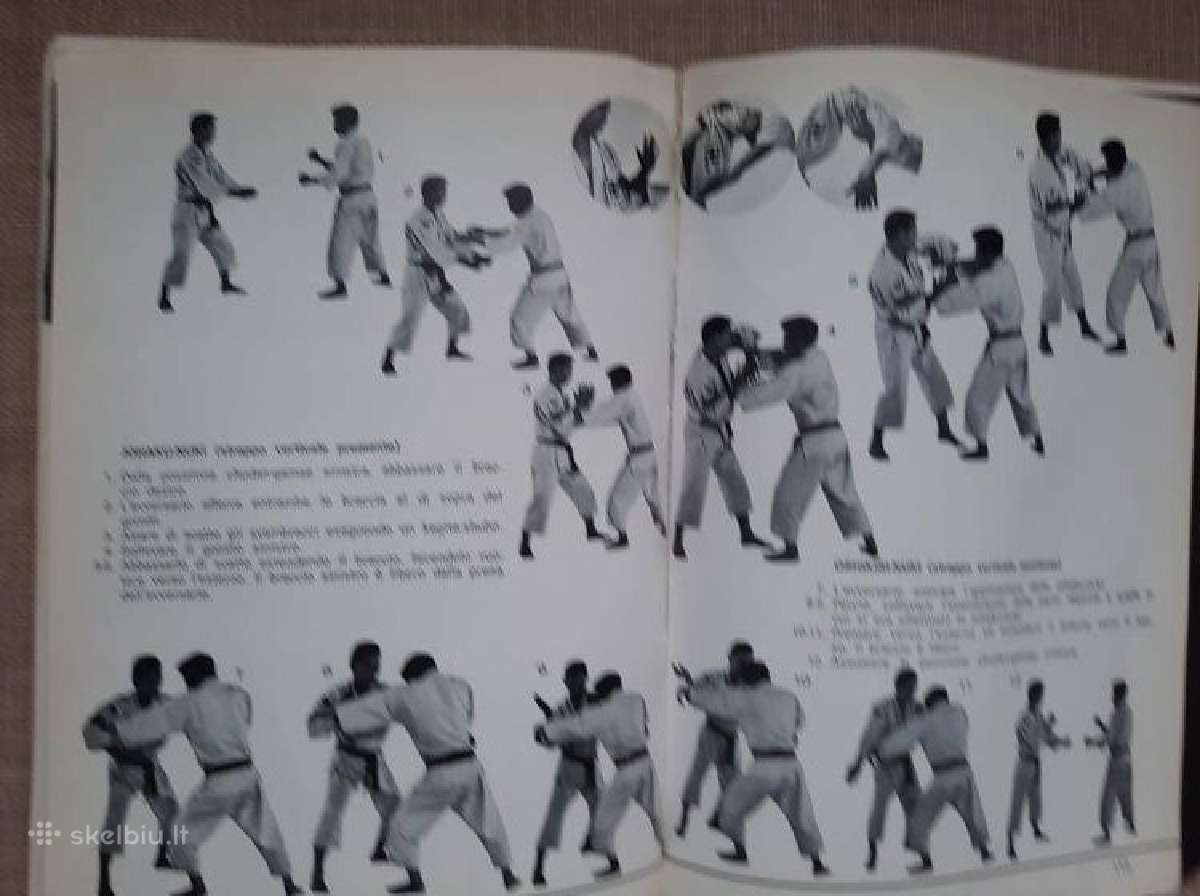 Shorinji Kempo (So Doshin) - nuotraukos Nr. 9