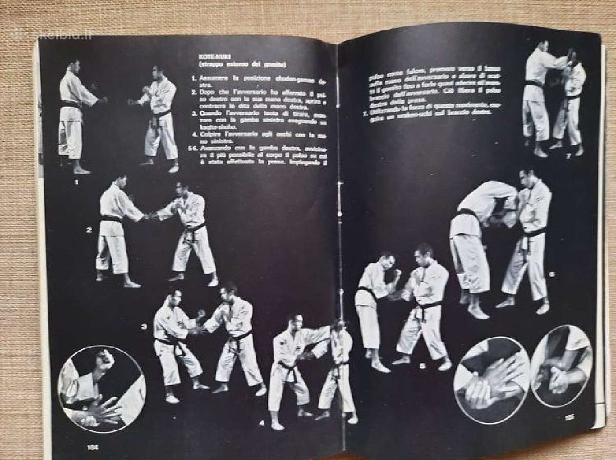 Shorinji Kempo (So Doshin) - nuotraukos Nr. 5