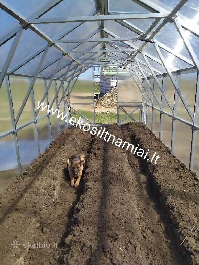 Šiltnamis namukas Pergalė Pro - nuotraukos Nr. 12