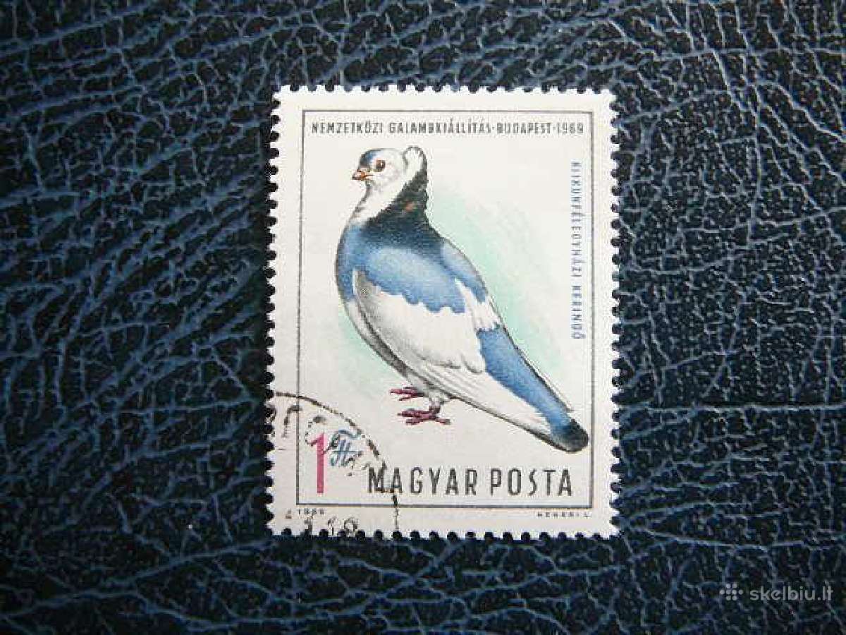 Balandziai Pauksciai Vengrija 1969 antsp v2562a