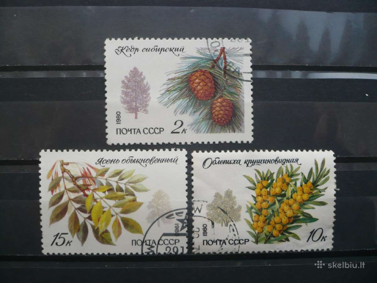 1980 Saugomi medžiai ir krūmai