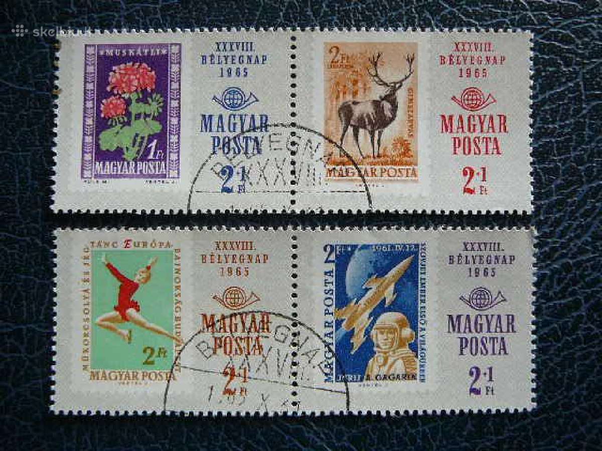 Geles Zverys Kosmosas Sportas Vengrija 1965 v2175a