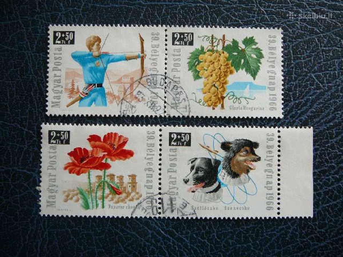 Sportas Sunys Geles Vengrija 1966 antsp. v2271a