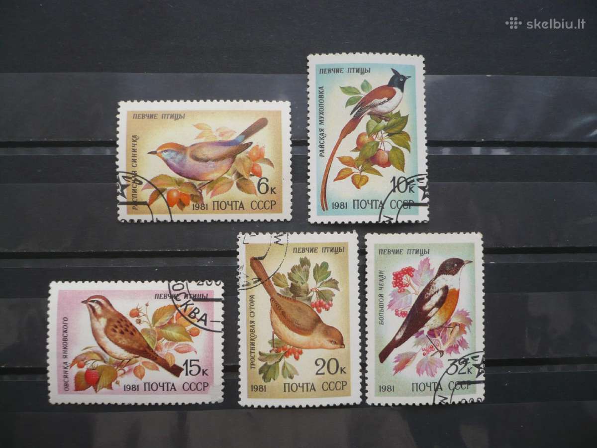 1981 m. giesmininkai