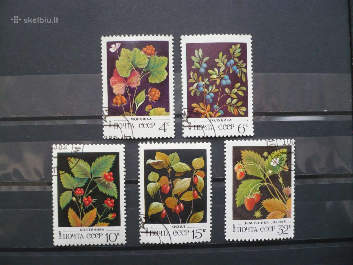1982 m. laukinės uogos
