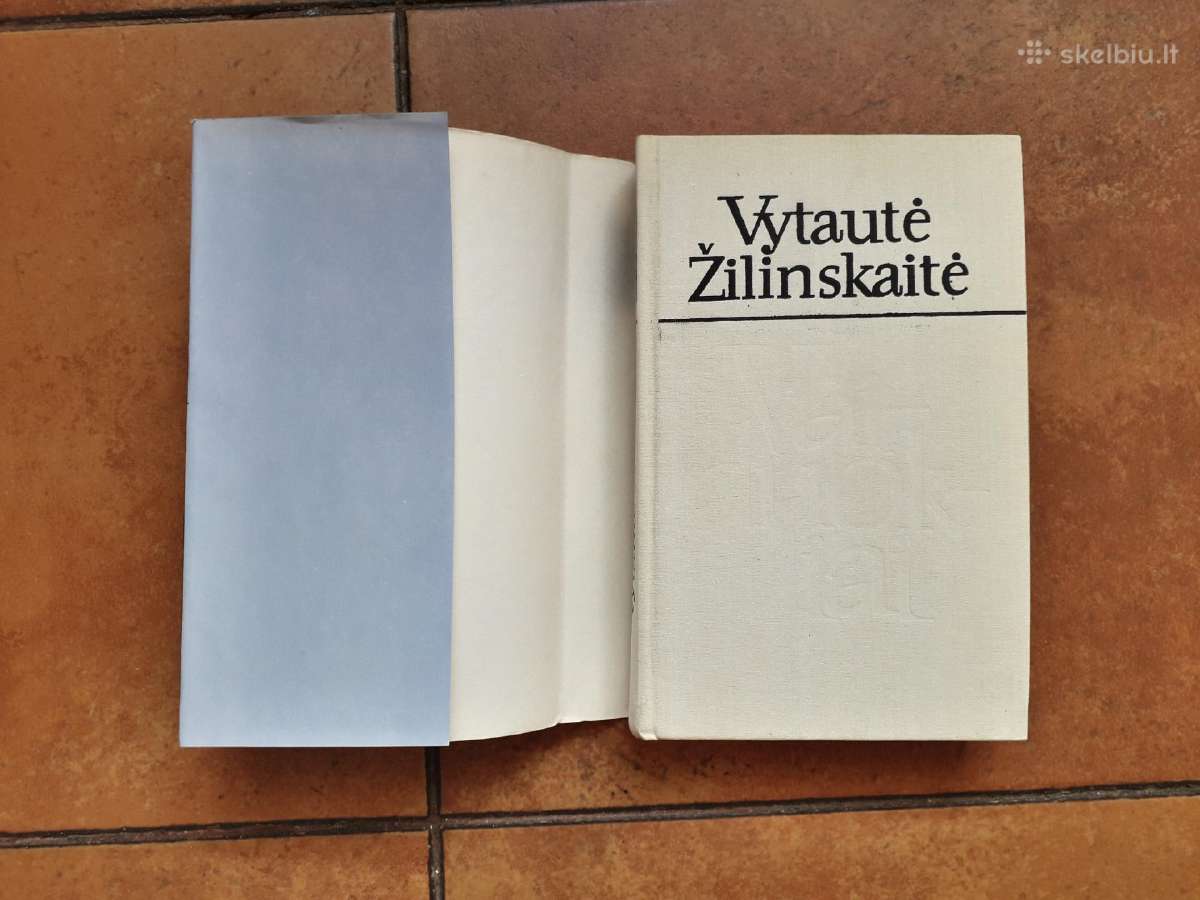 Vytautė Žilinskaitė "Vaiduokliai" 1991m. - nuotraukos Nr. 3