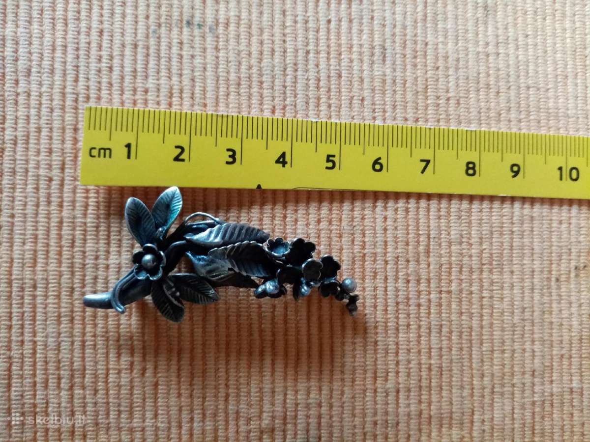 Sage = 15,-€ koks metalas nežinau prabos nėra. - nuotraukos Nr. 2