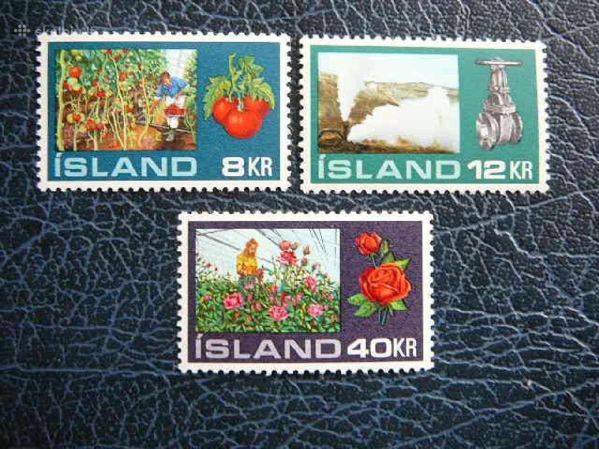 Geles Vaisiai Islandija 1972 Mnh is465