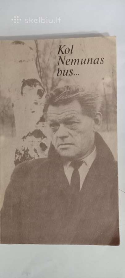 Knyga Širvys