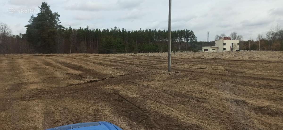 Kelmų frezavimas, apleistų sklypų tvarkymas - nuotraukos Nr. 16