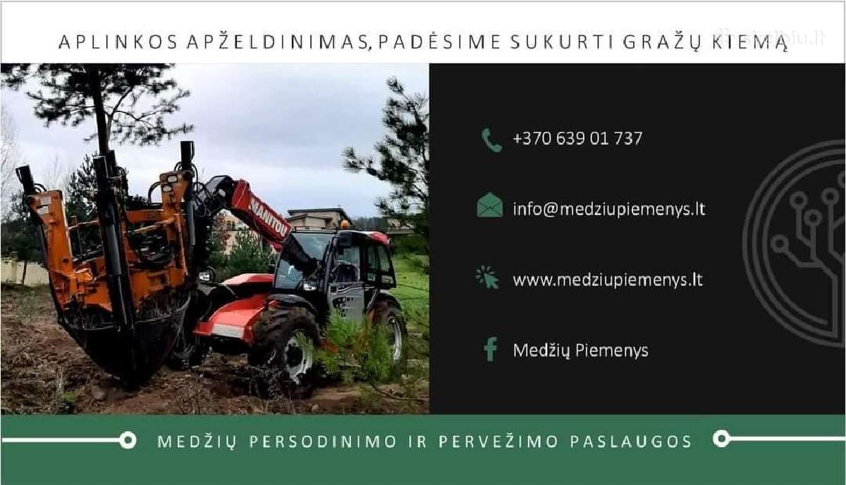 Didelių medžių persodinimas - nuotraukos Nr. 11
